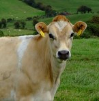 Agriculteur
