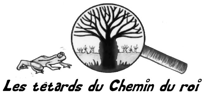 Les Têtards du Chemin du Roi