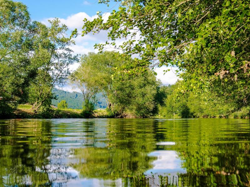 La rivière à Juvardeil