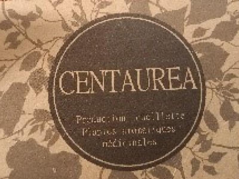 CENTAUREA