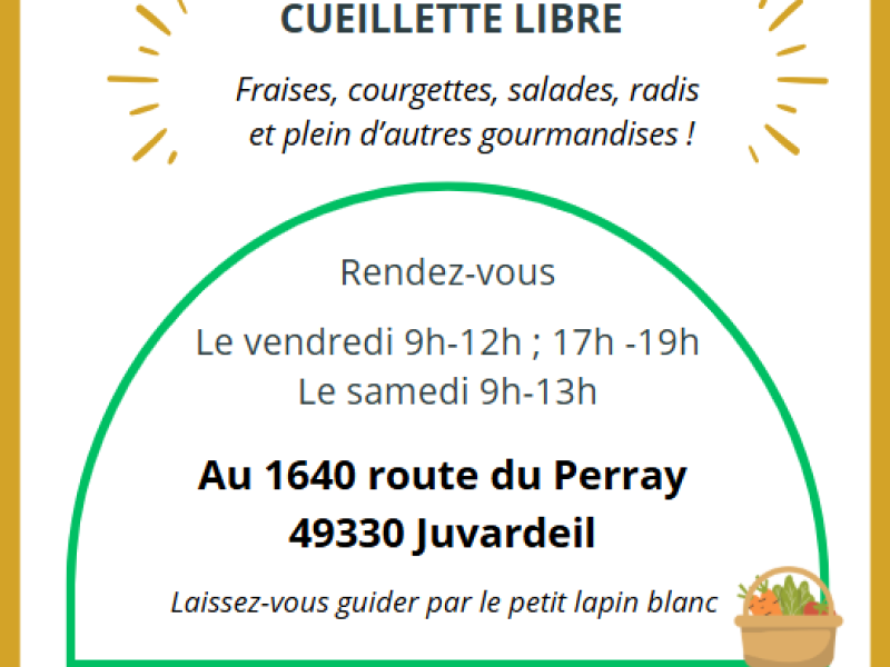 Ouverture : Les jardins des merveilles